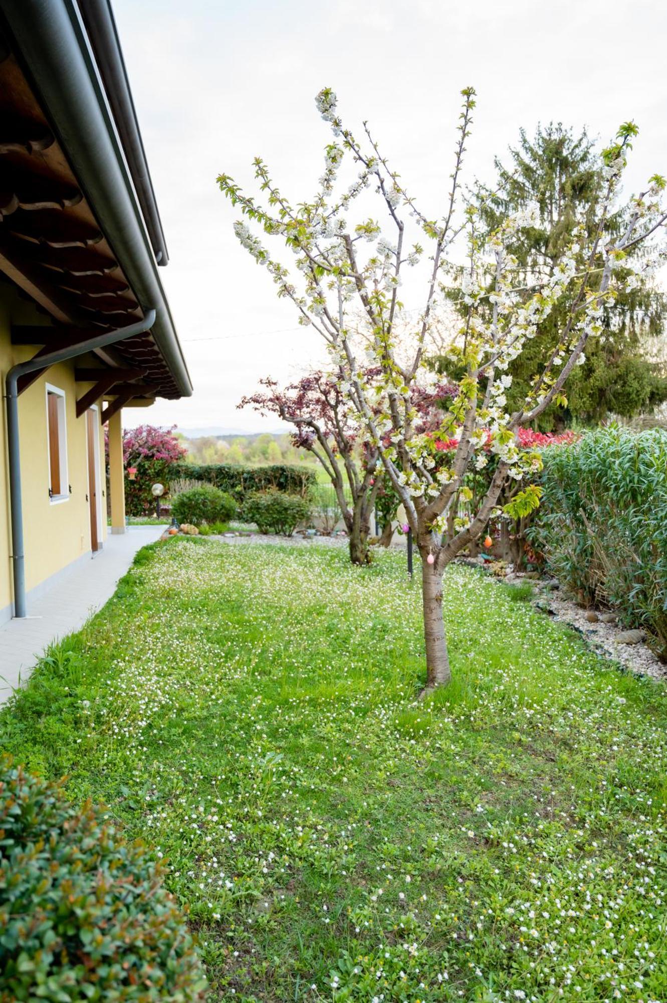 Residence Stradella Verde Staranzano 外观 照片