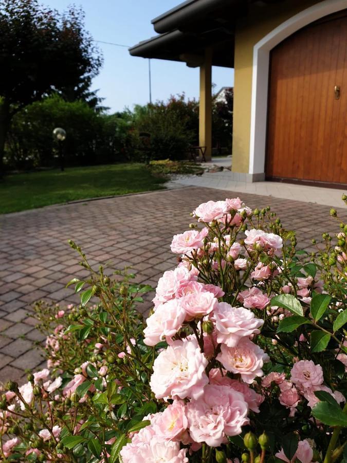 Residence Stradella Verde Staranzano 外观 照片